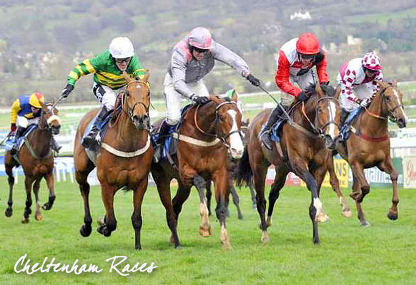 Cheltenham Horse Races